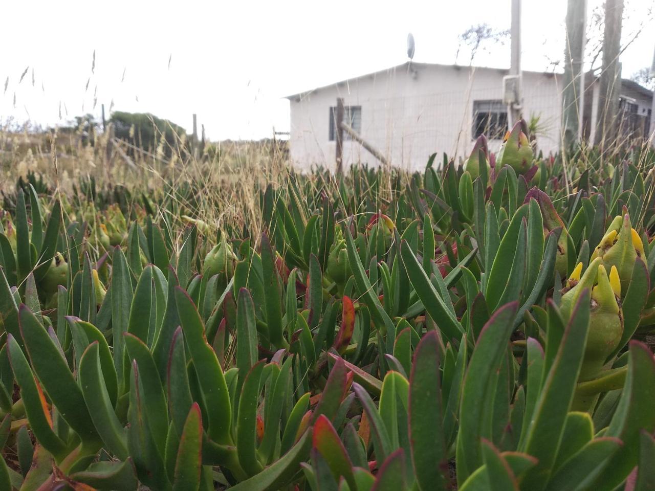 La Casa De Juan Villa Cuchilla Alta Kültér fotó